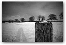 Contour in Snow, Prestbury, Cheshire