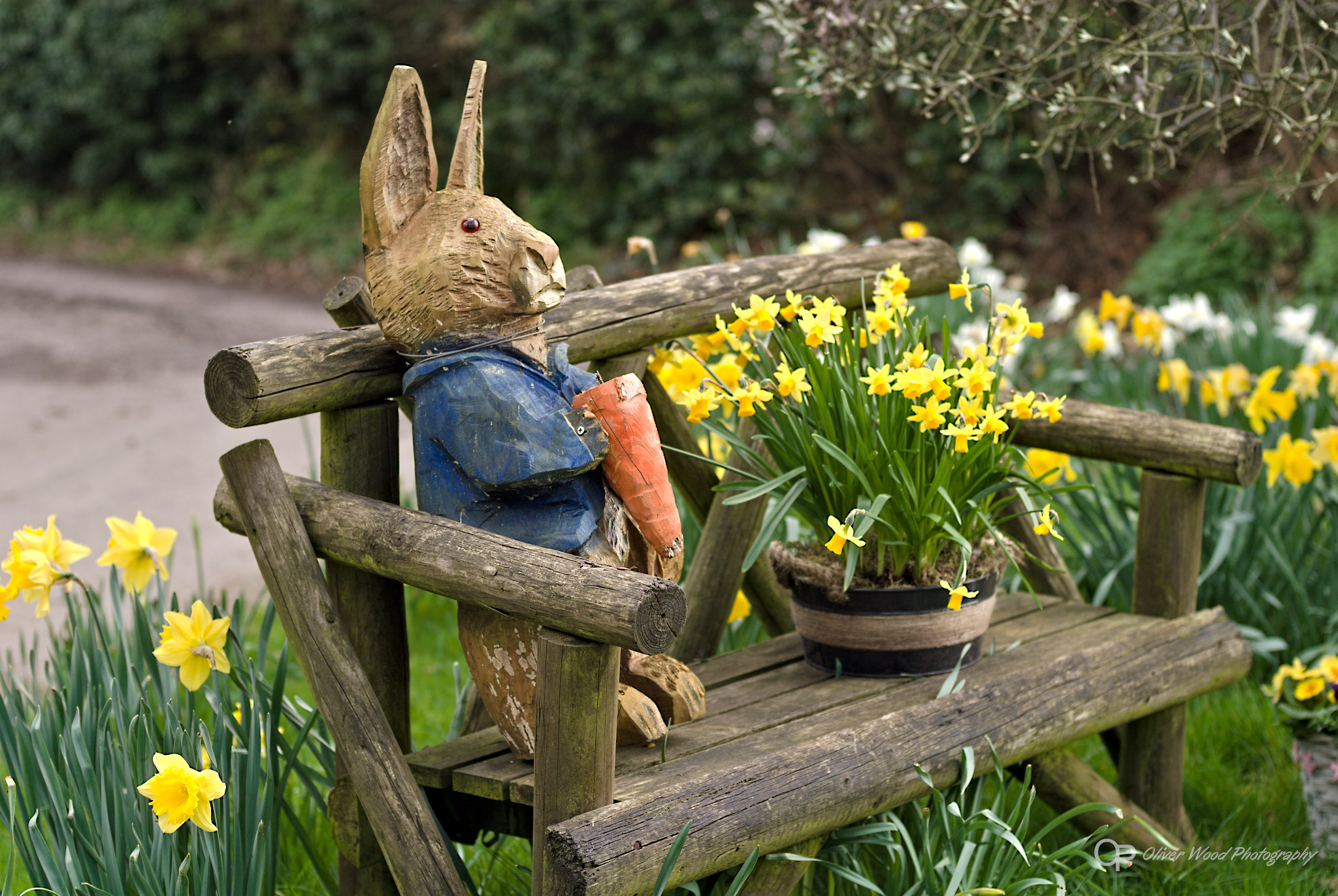 A wooden rabbit with orange carrot on a wooden bench with yellow daffodils.