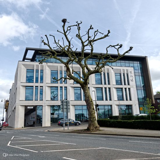 Office building with pollarded tree in front