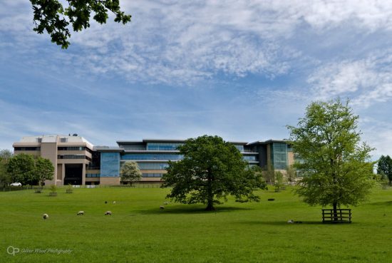 Modern office building in green fields with trees in front