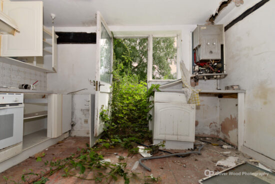 an old abandoned kitchen with green foliage invading through a door frame.